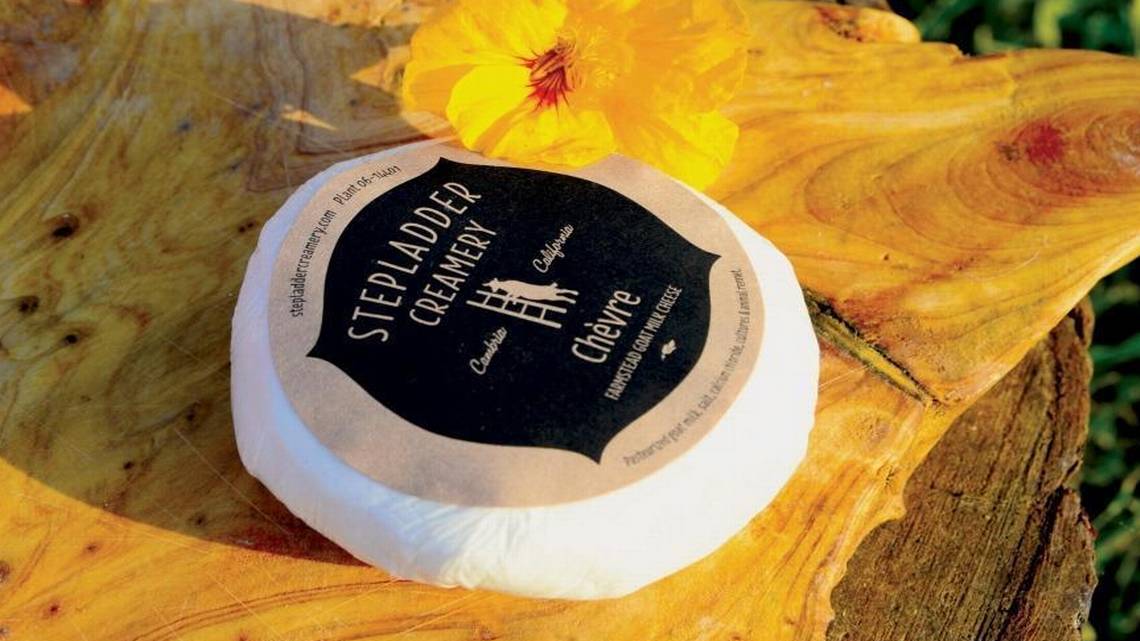 Chèvre — Soft Cheese