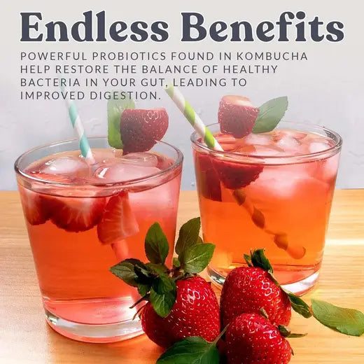 Cultures for Health Kombucha Starter Culture