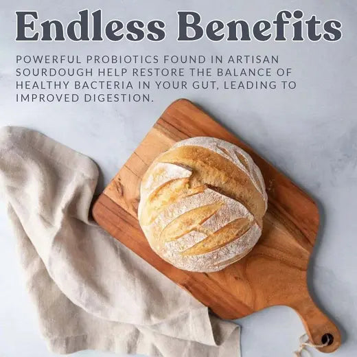 Cultures for Health San Francisco Sourdough Bread Starter Culture